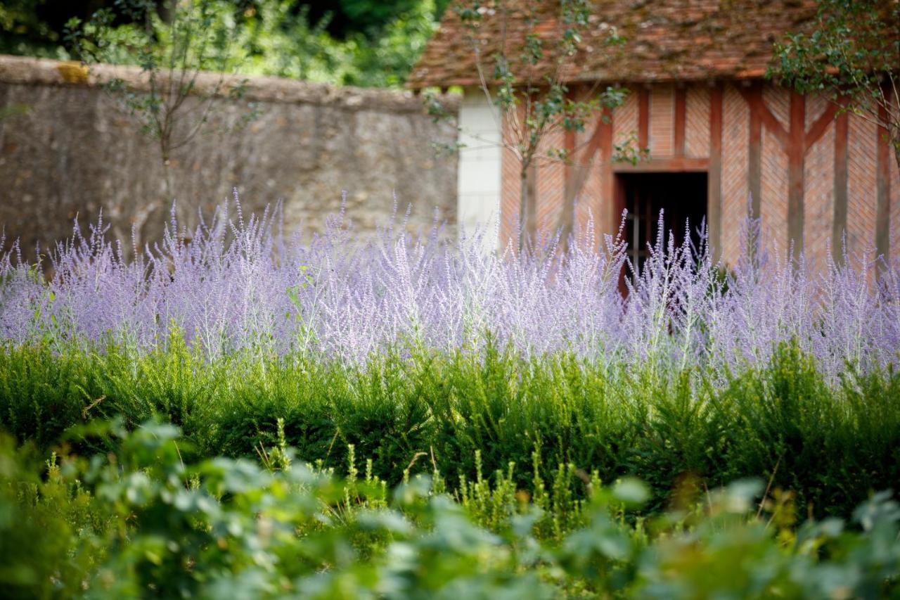 Château Louise de La Vallière Reugny Esterno foto