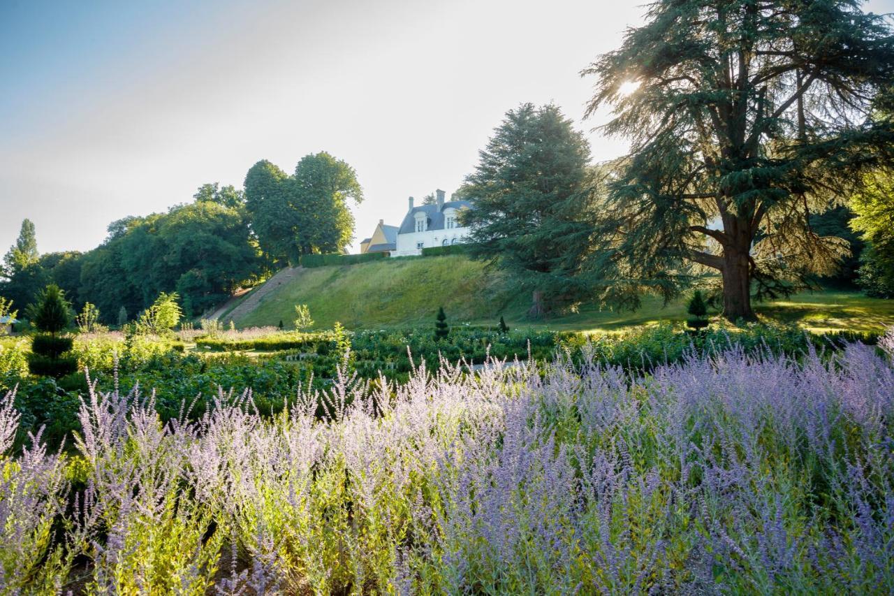 Château Louise de La Vallière Reugny Esterno foto