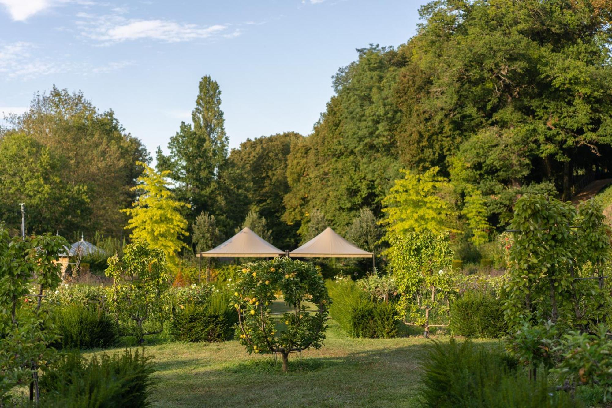 Château Louise de La Vallière Reugny Esterno foto