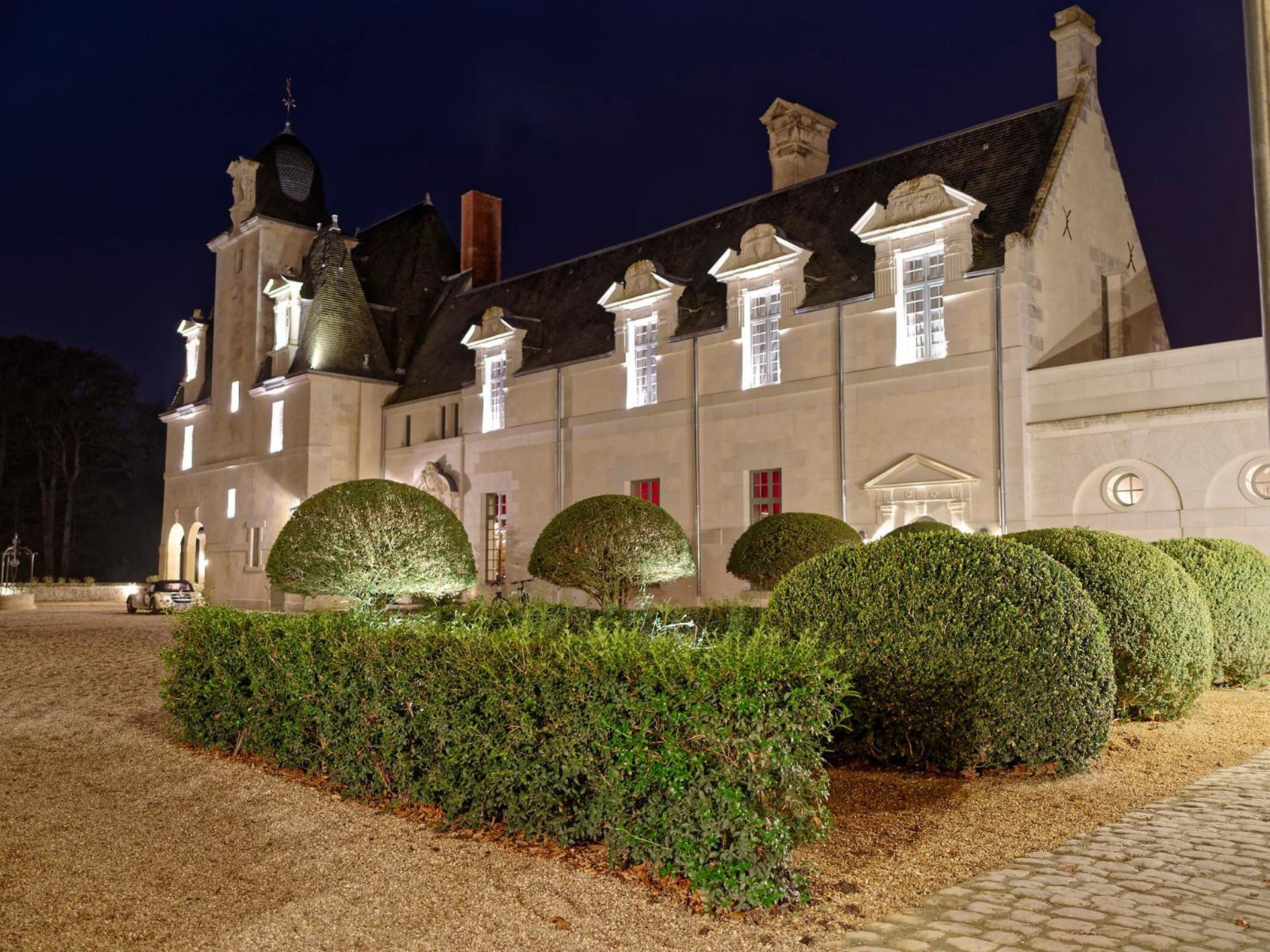 Château Louise de La Vallière Reugny Esterno foto